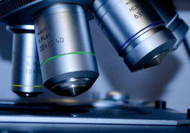 Bufale scientifiche, Ghizzoni “Siamo poco attrezzati per capirle”